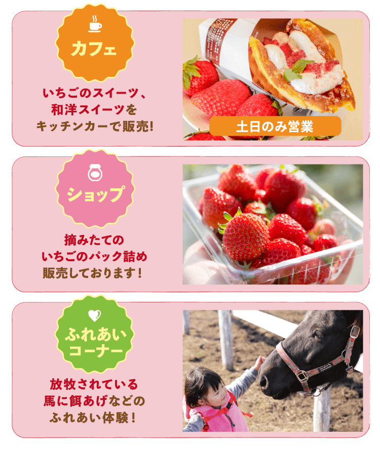 いちご狩り 無料プラン ヘレナ国際ヴィラ ヘレナリゾートいわき