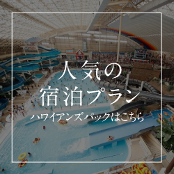 人気の宿泊プラン