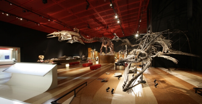 いわき市石炭・化石館ほるる